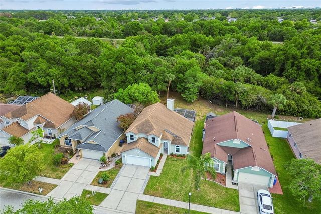 10218 CHARLESTON CORNER ROAD, Tampa, FL 33635