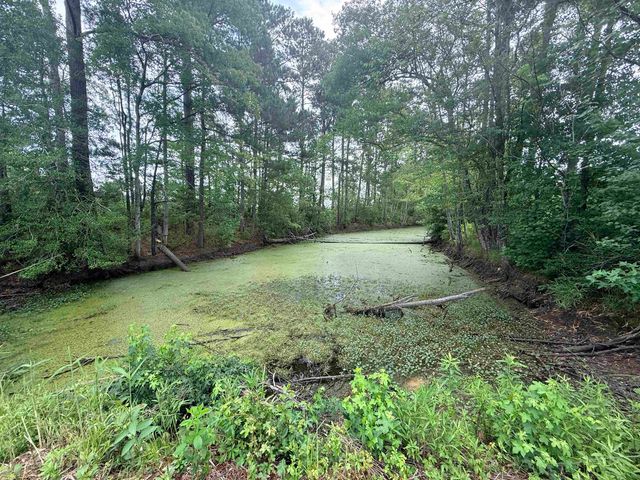 1991 Church Rd., Green Sea, SC 29545