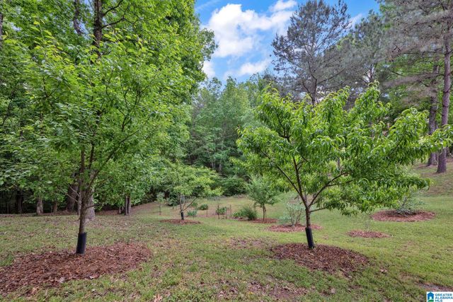 5519 QUAIL RIDGE ROAD, Gardendale, AL 35071