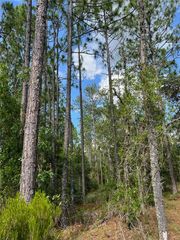 000 NE 138 AVENUE, Williston, FL 32696