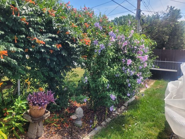 18439 Locust Street, Lansing, IL 60438