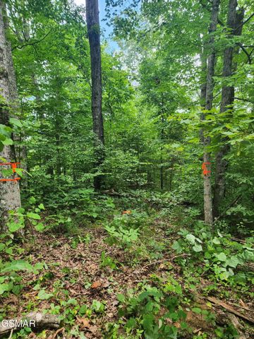 0 Lower Rinehart Road, Dandridge, TN 37725