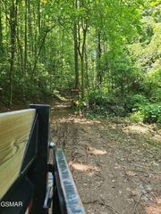0 Lower Rinehart Road, Dandridge, TN 37725