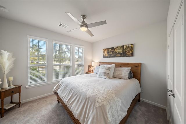 305 Royal Lily Trail, Montgomery, TX 77316