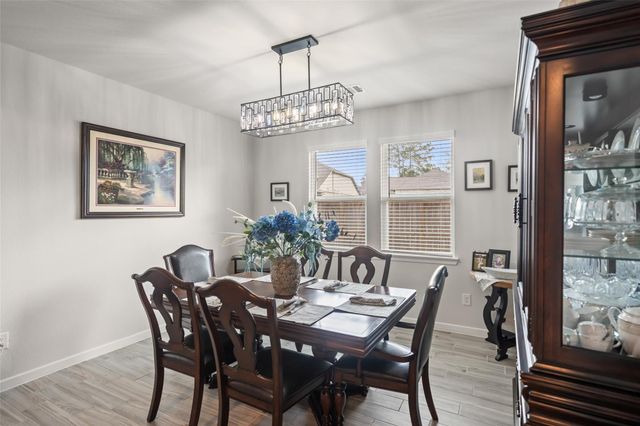 305 Royal Lily Trail, Montgomery, TX 77316