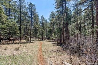 8173 Bannock Drive, Larkspur, CO 80118