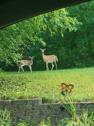 128 E Walnut Street, Glenwood City, WI 54013