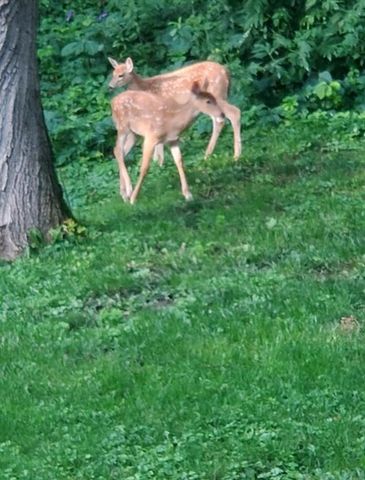 128 E Walnut Street, Glenwood City, WI 54013