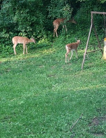 128 E Walnut Street, Glenwood City, WI 54013