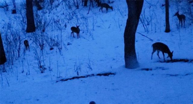 128 E Walnut Street, Glenwood City, WI 54013