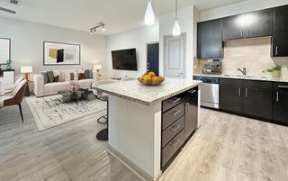 306 Mcgowen Street 1418, Houston, TX 77006