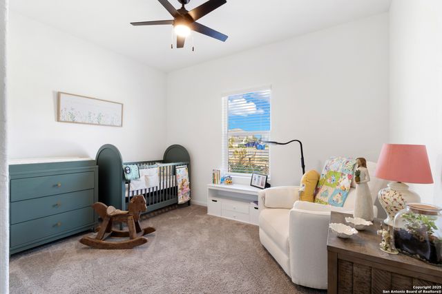 32323 Star Anise, Bulverde, TX 78163