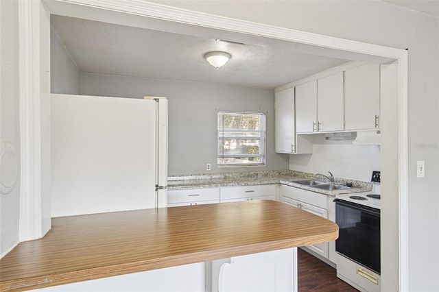 420 EUCLID AVENUE 1, Leesburg, FL 34748