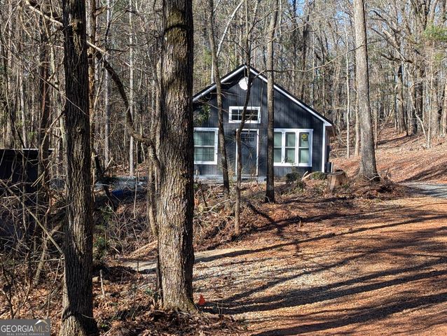 232 Chestnut Grove, Shiloh, GA 31826