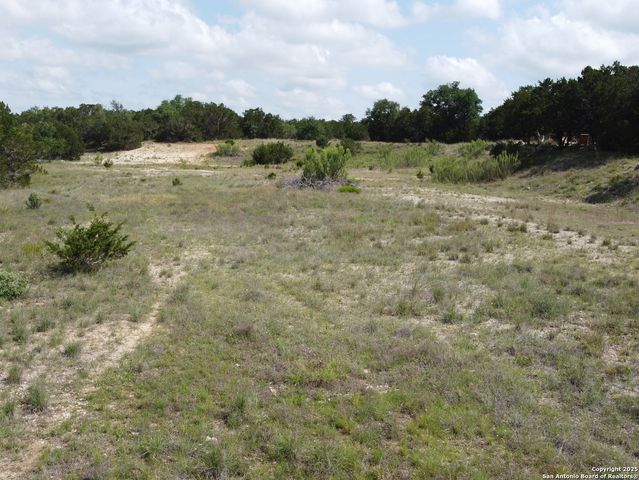 233 ROSINWEED DR, Spring Branch, TX 78070