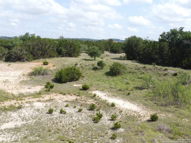 233 ROSINWEED DR, Spring Branch, TX 78070
