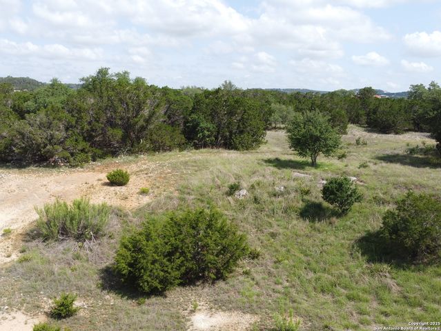 233 ROSINWEED DR, Spring Branch, TX 78070