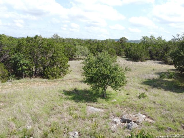 233 ROSINWEED DR, Spring Branch, TX 78070
