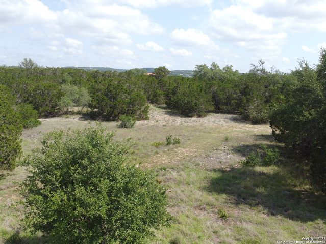 233 ROSINWEED DR, Spring Branch, TX 78070