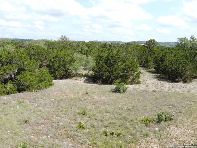 233 ROSINWEED DR, Spring Branch, TX 78070