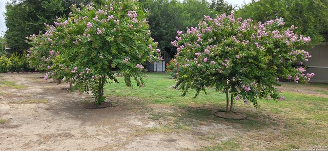 253 Elm, Mcqueeney, TX 78123