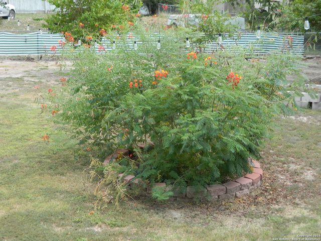 253 Elm, Mcqueeney, TX 78123