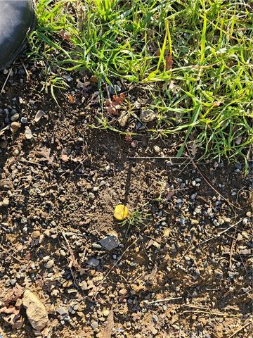 10167 Bell S, Lower Lake, CA 95457