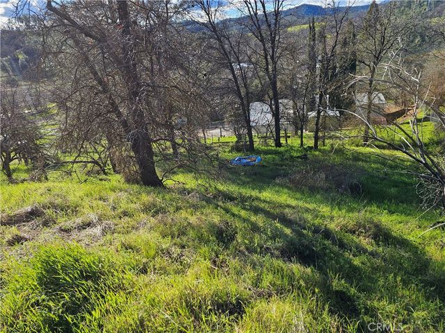 10167 Bell S, Lower Lake, CA 95457