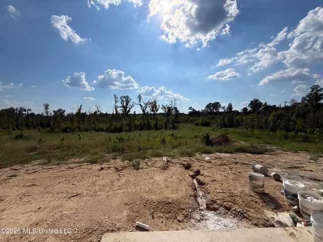 304 Stronghold Drive, Brandon, MS 39042