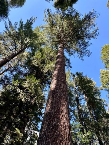 2893 Zuni Dr, Arnold, CA 95223