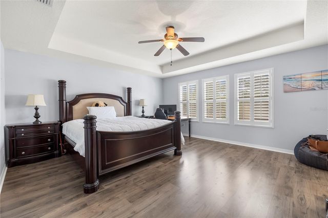 1565 FEATHER GRASS LOOP, Lutz, FL 33558