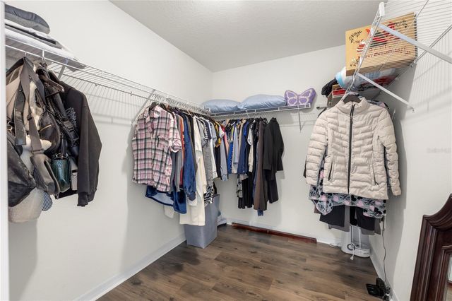 1565 FEATHER GRASS LOOP, Lutz, FL 33558