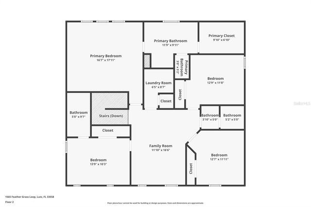1565 FEATHER GRASS LOOP, Lutz, FL 33558