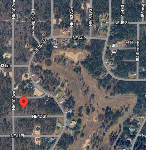 TBD NE 12 STREET, Williston, FL 32696