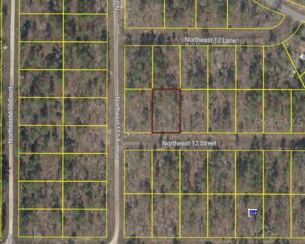 TBD NE 12 STREET, Williston, FL 32696