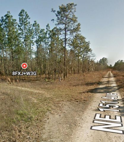 TBD NE 12 STREET, Williston, FL 32696
