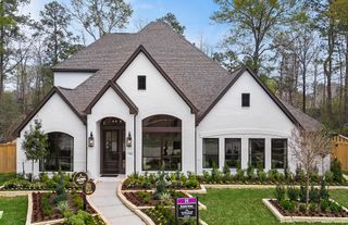 116 Founders Grove Loop, Willis, TX 77318