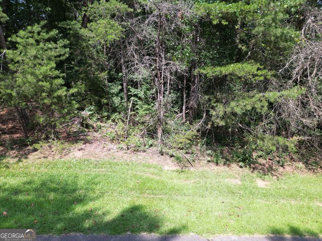 LOT 21 Deer Chase Road, Toccoa, GA 30577