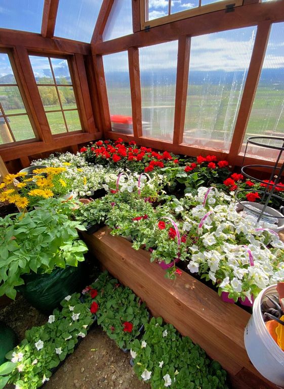 729 Stone Creek Loop, Corvallis, MT 59828 photo 20