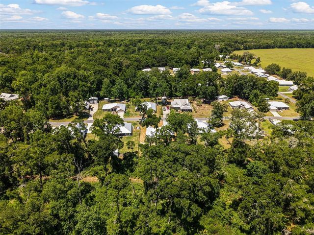 9100 DORIE DRIVE, Trenton, FL 32693