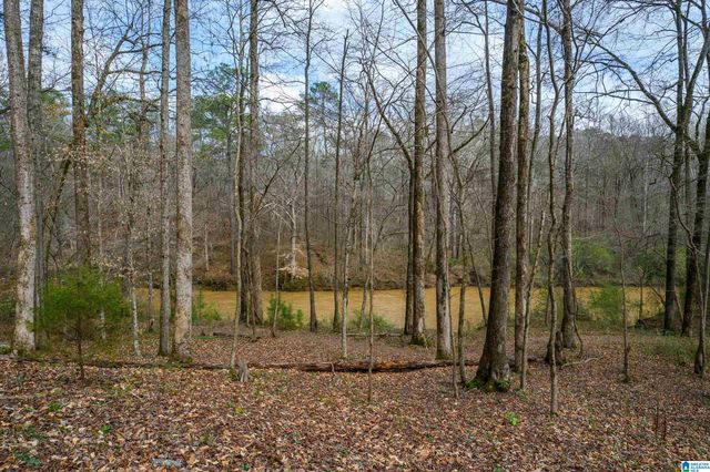 111 TRILLIUM DRIVE, Irondale, AL 35210