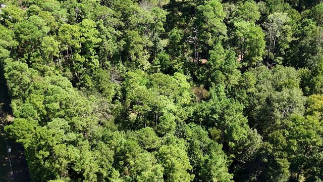Lot 226 N Canyon Drive, Onalaska, TX 77360
