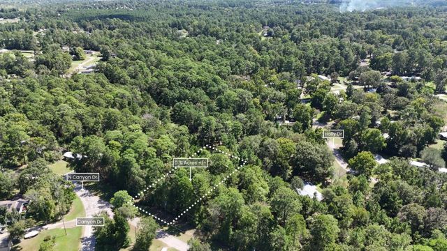 Lot 226 N Canyon Drive, Onalaska, TX 77360