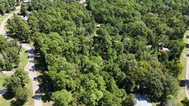 Lot 226 N Canyon Drive, Onalaska, TX 77360
