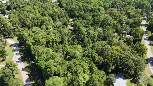 Lot 226 N Canyon Drive, Onalaska, TX 77360