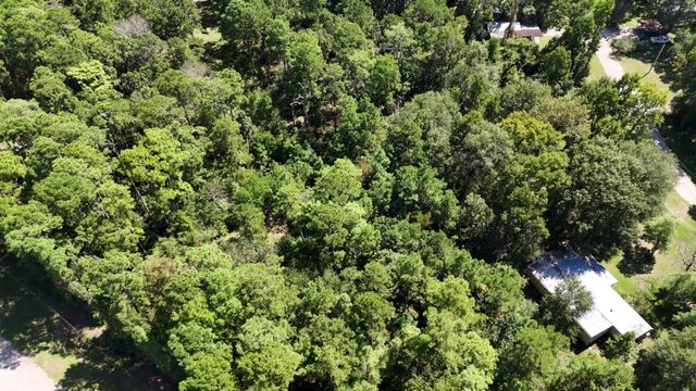 Lot 226 N Canyon Drive, Onalaska, TX 77360