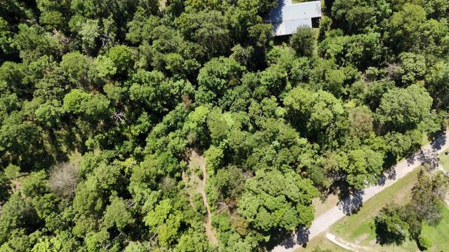 Lot 226 N Canyon Drive, Onalaska, TX 77360