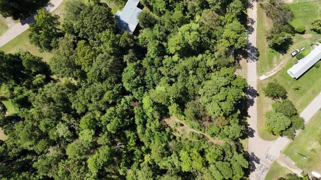 Lot 226 N Canyon Drive, Onalaska, TX 77360
