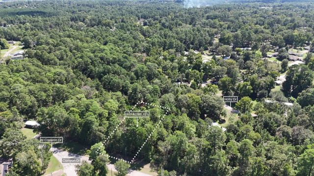 Lot 226 N Canyon Drive, Onalaska, TX 77360