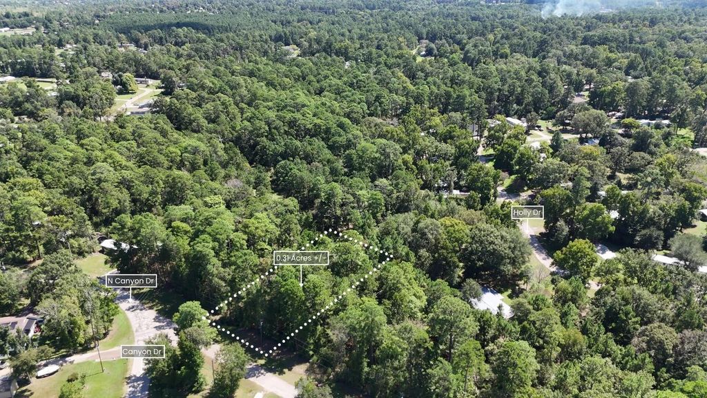 Lot 226 N Canyon Drive, Onalaska, TX 77360